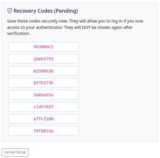 List of recovery codes displayed during 2FA setup